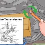 Connect the engine to the transmission